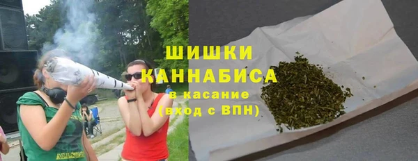 стаф Краснослободск