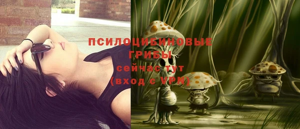 молекула духа Краснотурьинск