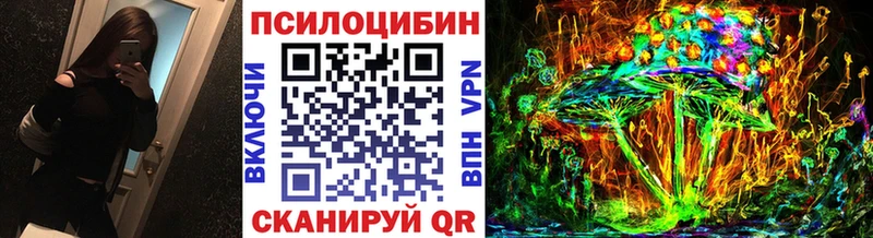 Купить закладки  Сальск  Галлюциногенные грибы мицелий 